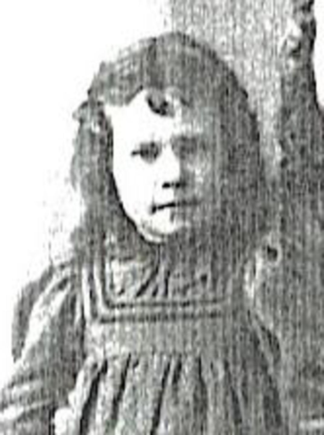 Sarah Ann Shupe (1845 - 1907) Profile